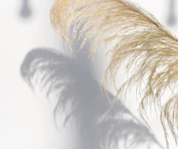 Haka 公寓 Mykonos Town