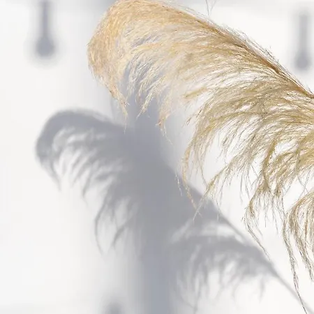 Haka アパート Mykonos Town