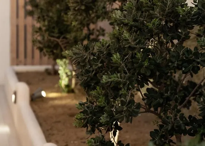 Haka Apartmán Mykonos Town